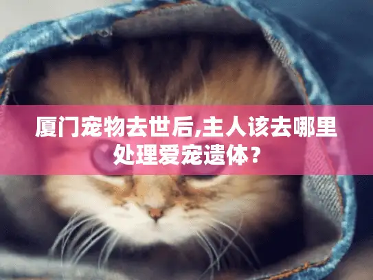 厦门宠物去世后,主人该去哪里处理爱宠遗体? 厦门宠物去世后,主人该去哪里处理爱宠遗体?