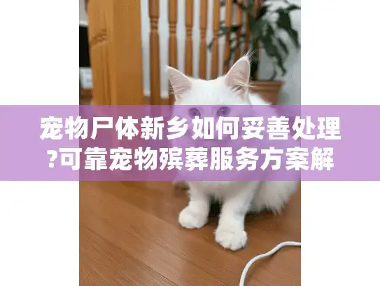 宠物尸体新乡如何妥善处理?可靠宠物殡葬服务方案解析