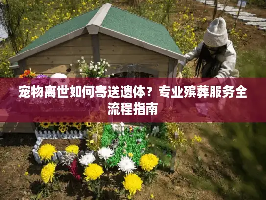 宠物离世如何寄送遗体？专业殡葬服务全流程指南