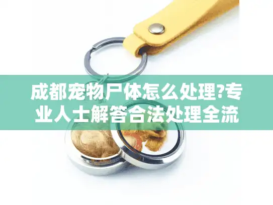 成都宠物尸体怎么处理?专业人士解答合法处理全流程