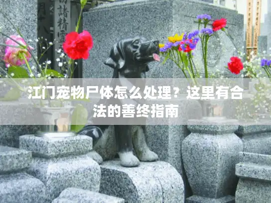 江门宠物尸体怎么处理？这里有合法的善终指南
