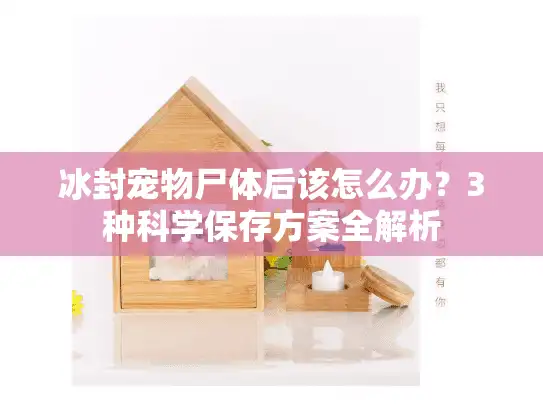 冰封宠物尸体后该怎么办？3种科学保存方案全解析