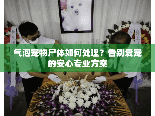 气泡宠物尸体如何处理？告别爱宠的安心专业方案