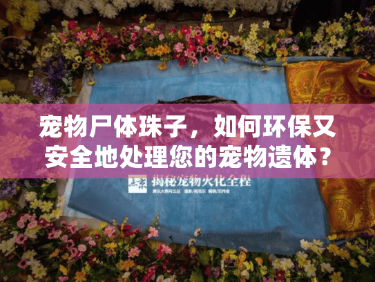 宠物尸体珠子，如何环保又安全地处理您的宠物遗体？