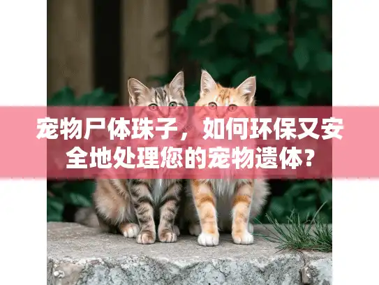 宠物尸体珠子，如何环保又安全地处理您的宠物遗体？