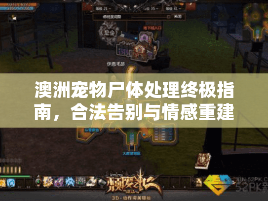 澳洲宠物尸体处理终极指南，合法告别与情感重建方案