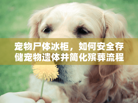 宠物尸体冰柜，如何安全存储宠物遗体并简化殡葬流程？