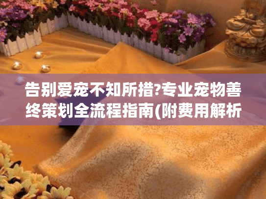 告别爱宠不知所措?专业宠物善终策划全流程指南(附费用解析)