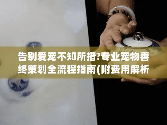 告别爱宠不知所措?专业宠物善终策划全流程指南(附费用解析)