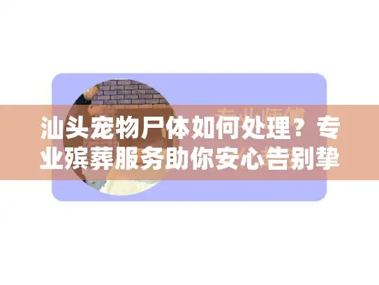 汕头宠物尸体如何处理？专业殡葬服务助你安心告别挚友