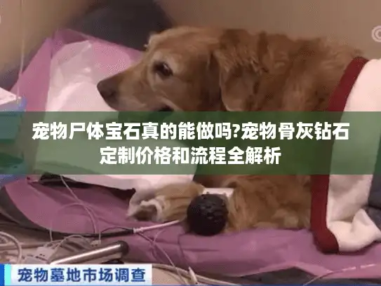 宠物尸体宝石真的能做吗?宠物骨灰钻石定制价格和流程全解析