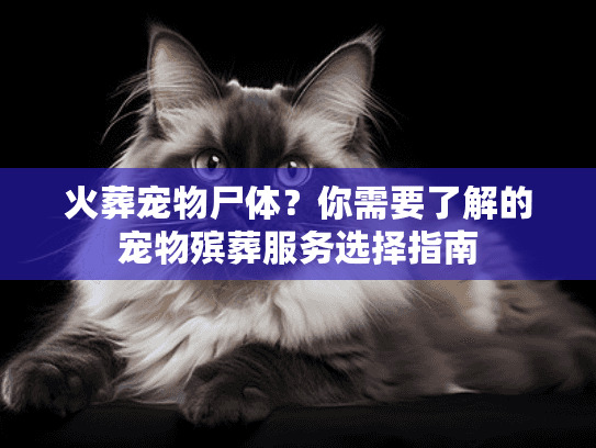 火葬宠物尸体？你需要了解的宠物殡葬服务选择指南