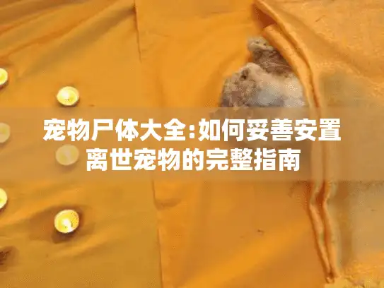 宠物尸体大全:如何妥善安置离世宠物的完整指南 宠物尸体大全:如何妥善安置离世宠物的完整指南