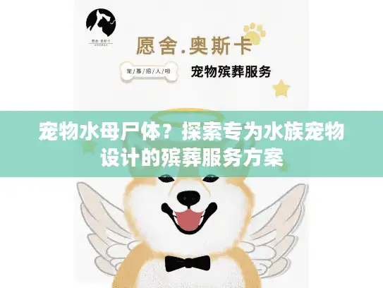 宠物水母尸体？探索专为水族宠物设计的殡葬服务方案