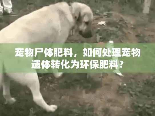 宠物尸体肥料，如何处理宠物遗体转化为环保肥料？