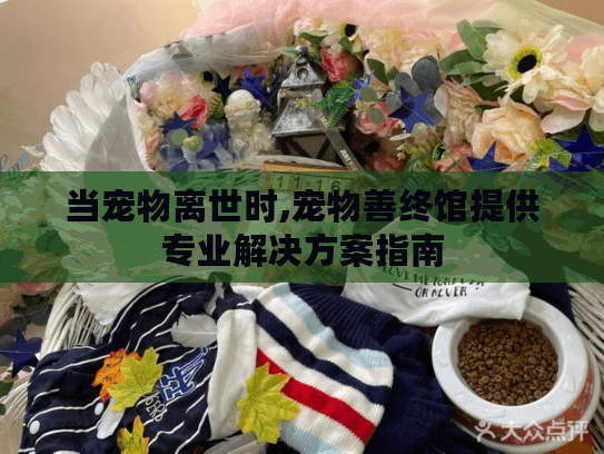 当宠物离世时,宠物善终馆提供专业解决方案指南 当宠物离世时,宠物善终馆提供专业解决方案指南