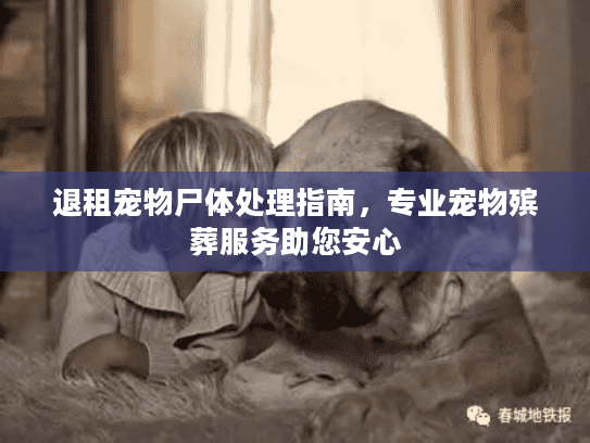 退租宠物尸体处理指南,专业宠物殡葬服务助您安心 退租宠物尸体处理指南,专业宠物殡葬服务助您安心