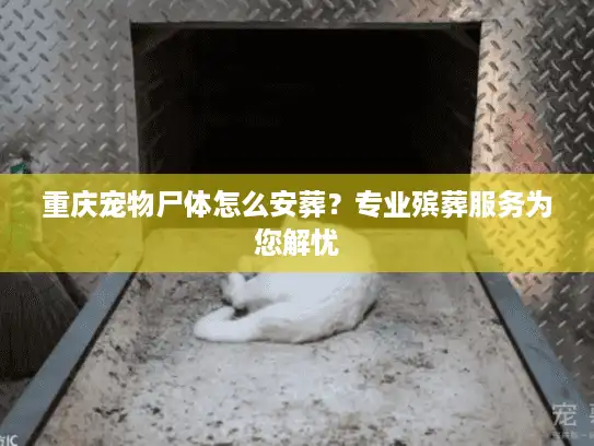 重庆宠物尸体怎么安葬？专业殡葬服务为您解忧