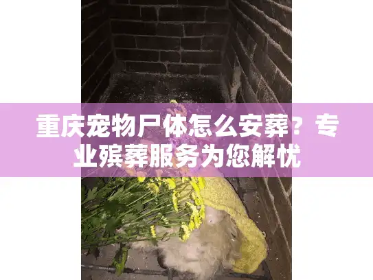 重庆宠物尸体怎么安葬？专业殡葬服务为您解忧