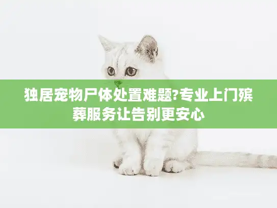 独居宠物尸体处置难题?专业上门殡葬服务让告别更安心