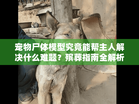 宠物尸体模型究竟能帮主人解决什么难题？殡葬指南全解析