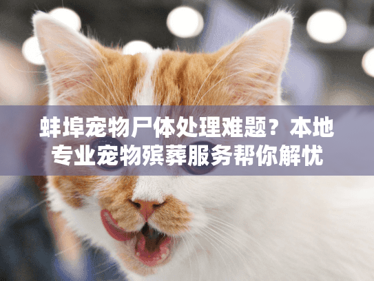 蚌埠宠物尸体处理难题？本地专业宠物殡葬服务帮你解忧