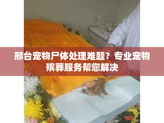 邢台宠物尸体处理难题?专业宠物殡葬服务帮您解决 邢台宠物尸体处理难题?专业宠物殡葬服务帮您解决