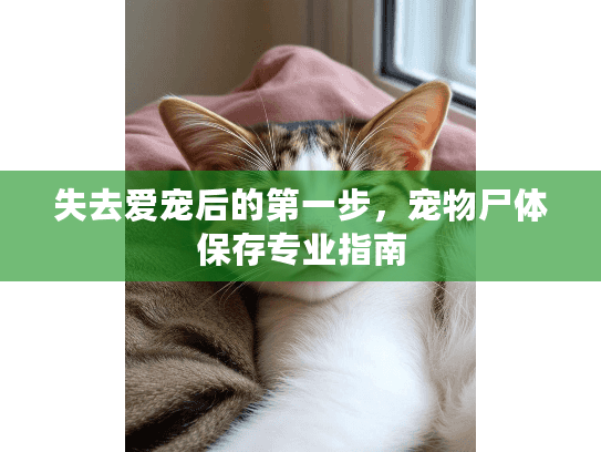 失去爱宠后的第一步，宠物尸体保存专业指南