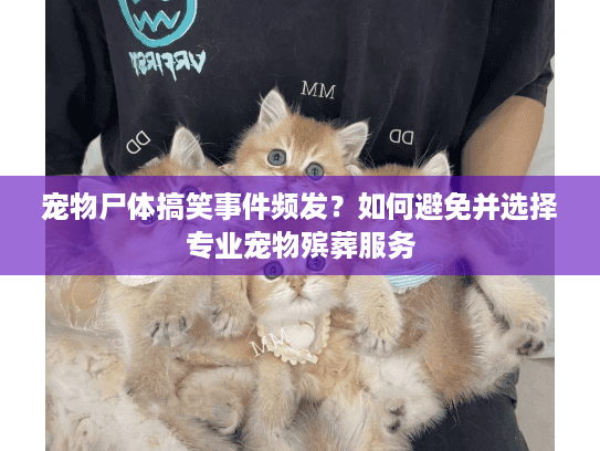 宠物尸体搞笑事件频发?如何避免并选择专业宠物殡葬服务 宠物尸体搞笑事件频发?如何避免并选择专业宠物殡葬服务