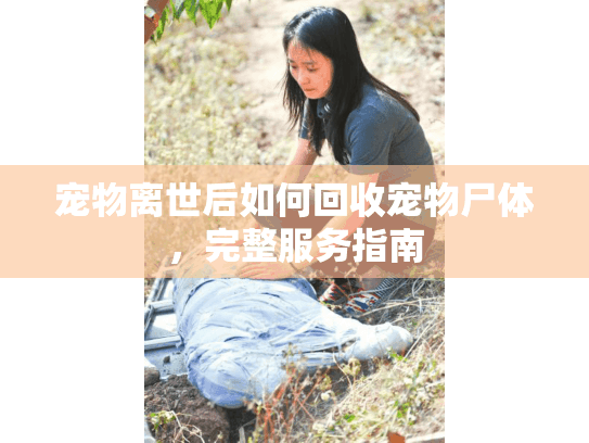 宠物离世后如何回收宠物尸体，完整服务指南