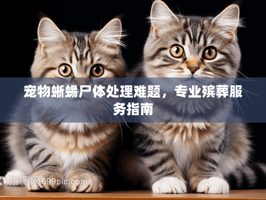 宠物蜥蜴尸体处理难题，专业殡葬服务指南