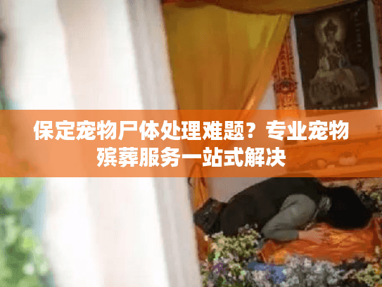 保定宠物尸体处理难题?专业宠物殡葬服务一站式解决 保定宠物尸体处理难题?专业宠物殡葬服务一站式解决