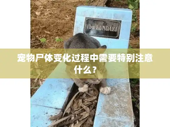 宠物尸体变化过程中需要特别注意什么? 宠物尸体变化过程中需要特别注意什么?