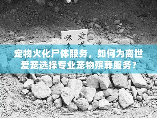 宠物火化尸体服务，如何为离世爱宠选择专业宠物殡葬服务？