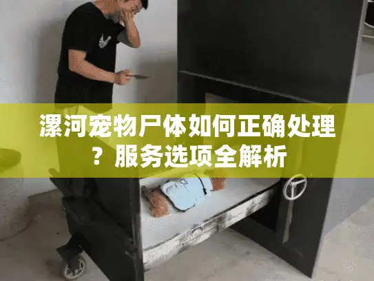 漯河宠物尸体如何正确处理?服务选项全解析 漯河宠物尸体如何正确处理?服务选项全解析