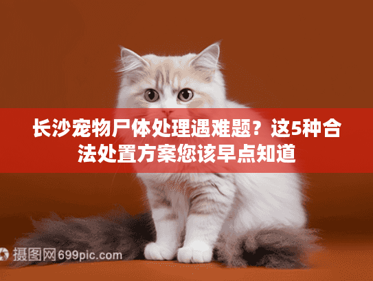 长沙宠物尸体处理遇难题？这5种合法处置方案您该早点知道