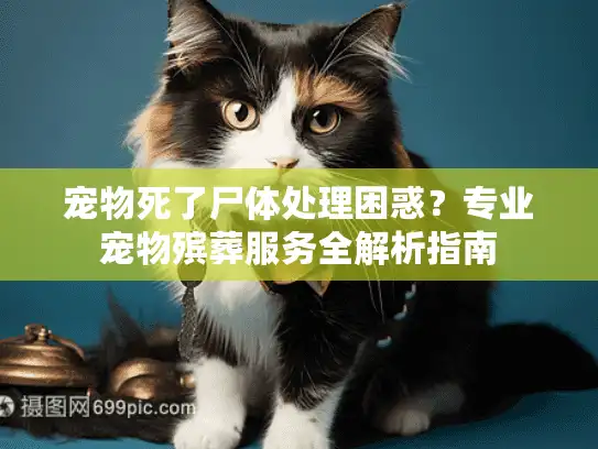 宠物死了尸体处理困惑？专业宠物殡葬服务全解析指南