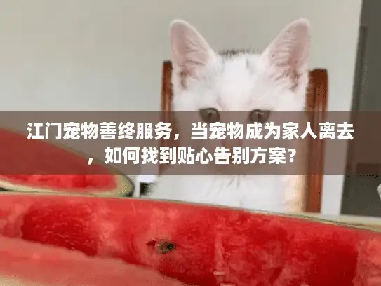 江门宠物善终服务，当宠物成为家人离去，如何找到贴心告别方案？