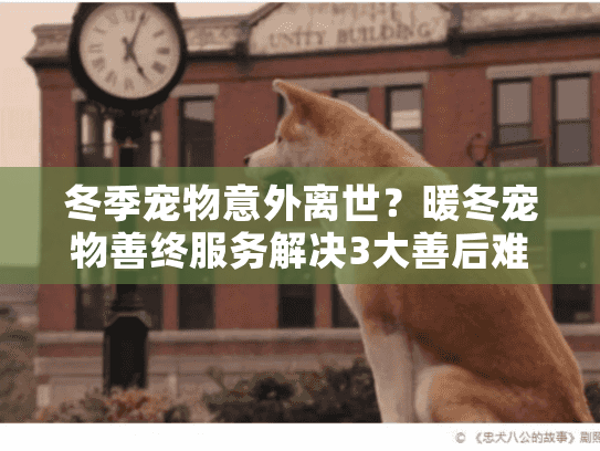 冬季宠物意外离世?暖冬宠物善终服务解决3大善后难题 冬季宠物意外离世?暖冬宠物善终服务解决3大善后难题