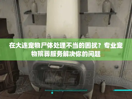 在大连宠物尸体处理不当的困扰？专业宠物殡葬服务解决你的问题