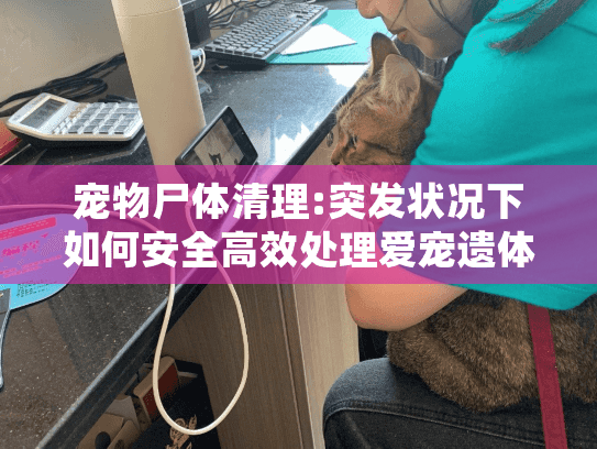 宠物尸体清理:突发状况下如何安全高效处理爱宠遗体?