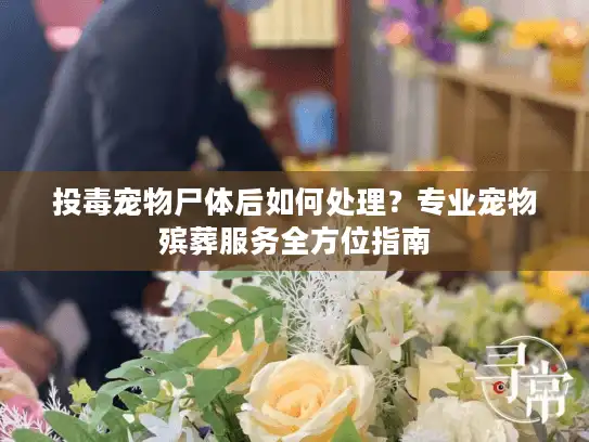 投毒宠物尸体后如何处理？专业宠物殡葬服务全方位指南