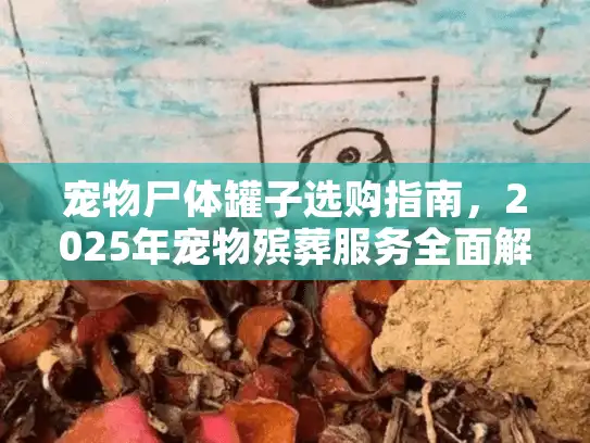 宠物尸体罐子选购指南，2025年宠物殡葬服务全面解析