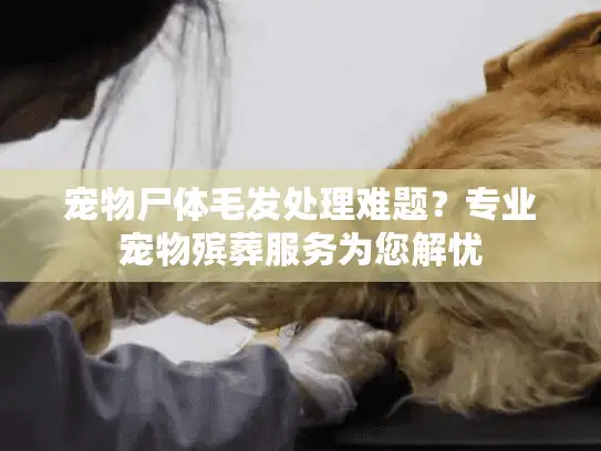 宠物尸体毛发处理难题?专业宠物殡葬服务为您解忧 宠物尸体毛发处理难题?专业宠物殡葬服务为您解忧