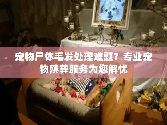 宠物尸体毛发处理难题?专业宠物殡葬服务为您解忧 宠物尸体毛发处理难题?专业宠物殡葬服务为您解忧