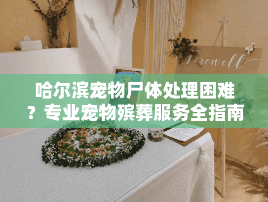 哈尔滨宠物尸体处理困难？专业宠物殡葬服务全指南