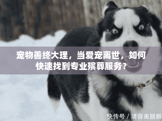 宠物善终大理，当爱宠离世，如何快速找到专业殡葬服务？