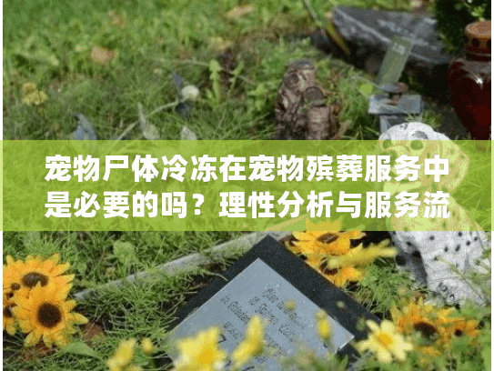 宠物尸体冷冻在宠物殡葬服务中是必要的吗？理性分析与服务流程详解