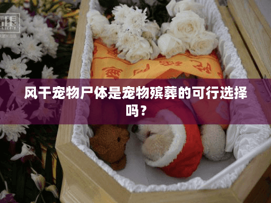 风干宠物尸体是宠物殡葬的可行选择吗？