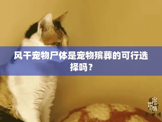 风干宠物尸体是宠物殡葬的可行选择吗？